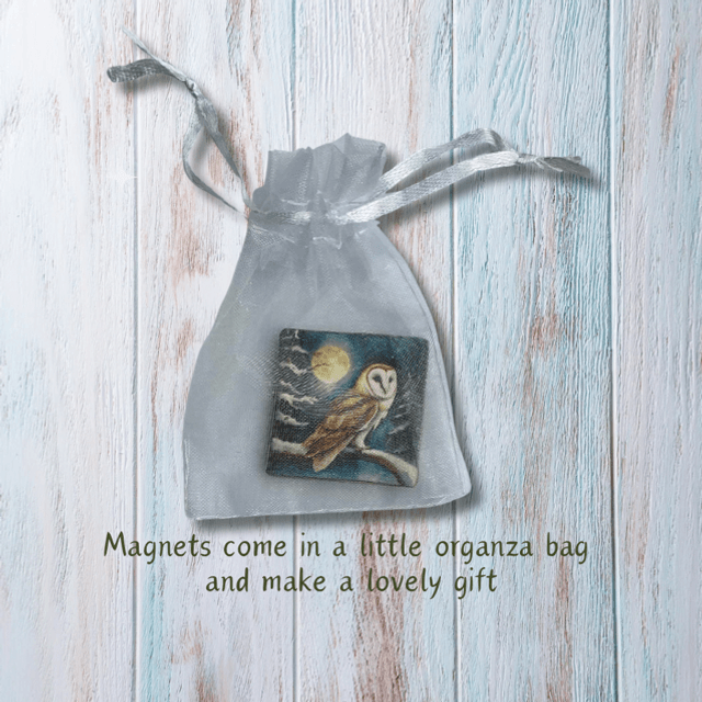 Bird Magnet